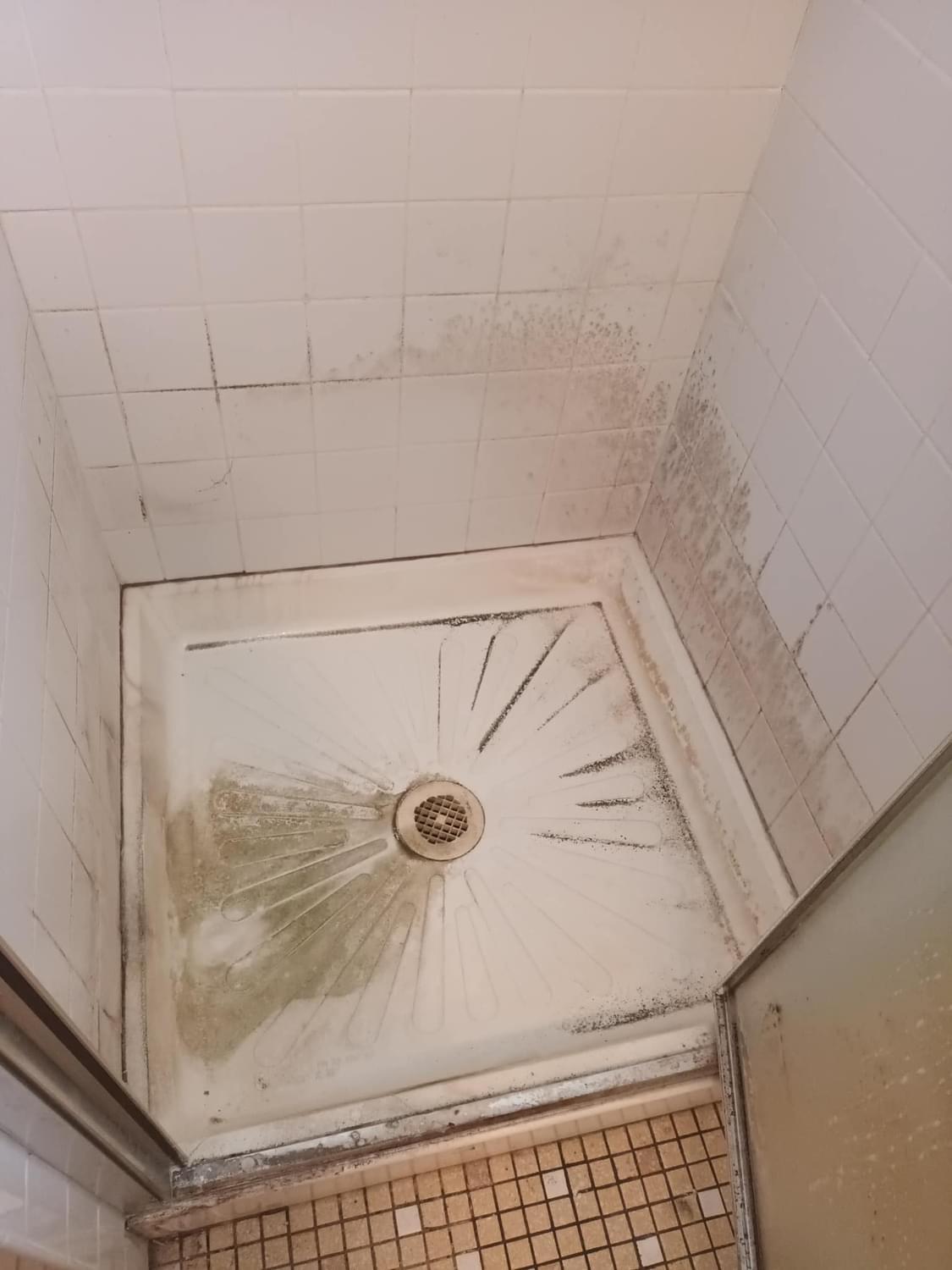 WhatsApp Image 2024-12-10 at 15.36.26 (16) WhatsApp Image 2024-12-10 at 15.36.26 (16)