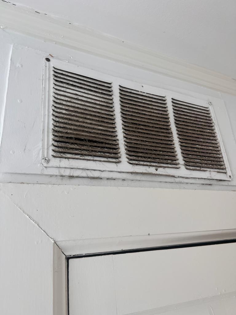 WhatsApp Image 2024-12-10 at 15.36.26 (7) WhatsApp Image 2024-12-10 at 15.36.26 (7)